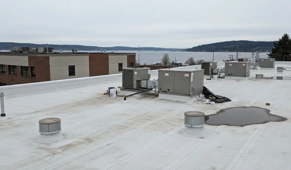 How Much Does a Commercial Flat Roof Cost in Tacoma?